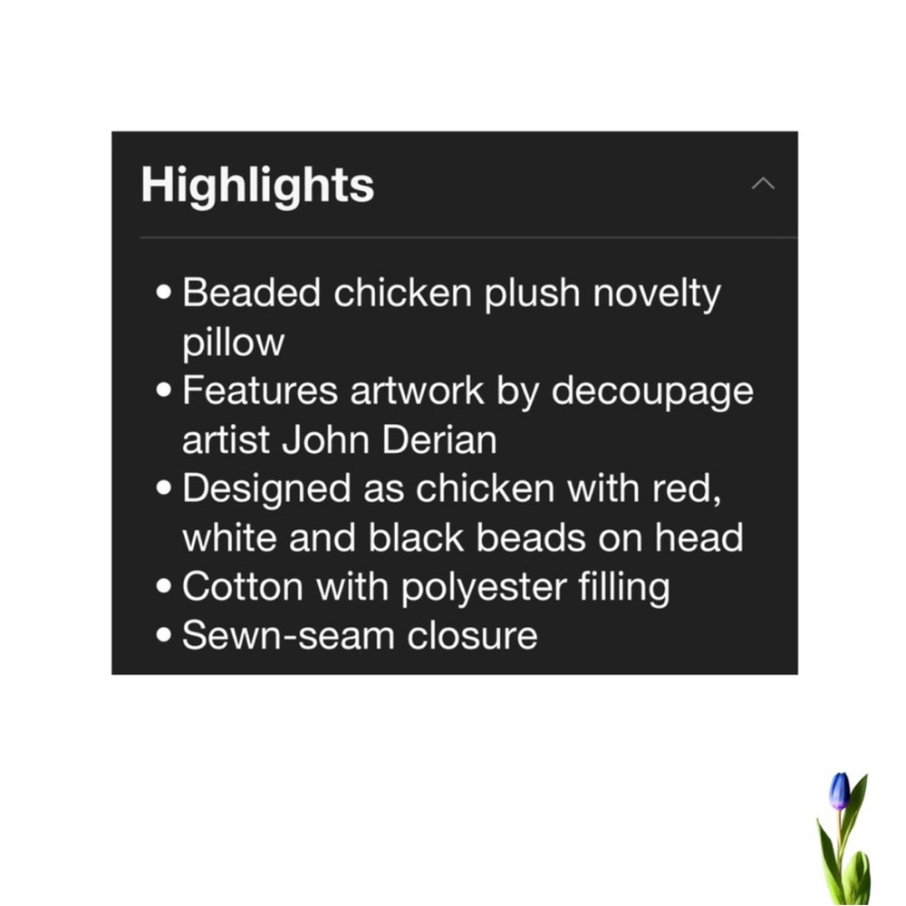 John Derian Chicken
Beaded Pillow 14X13 New - Picture 8 of 8